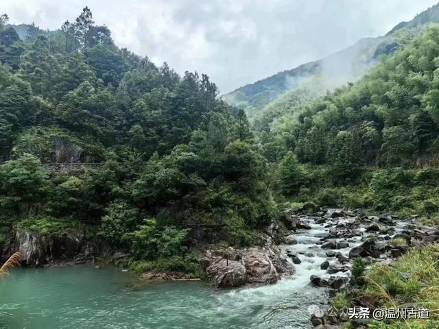 夏天你不能错过的浙南九寨沟！幽谷俊山，碧波荡漾，美得不像人间