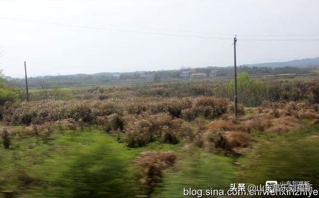 从九江到南昌：我的见闻与感慨 （江西之旅第十六篇）