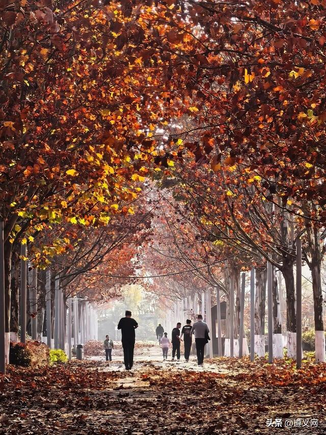 被初冬的遵义美到了