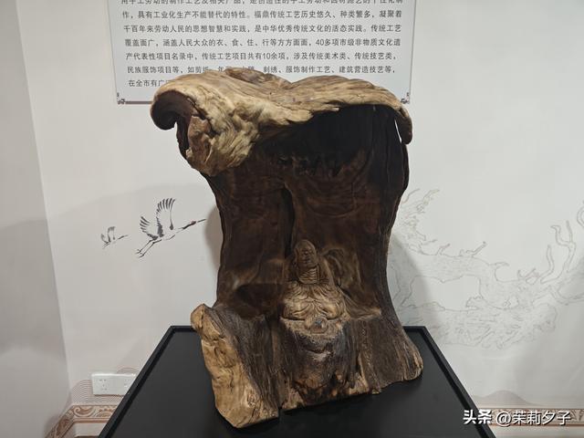 福鼎市区一日游：从白茶发源地到市井小吃赏唐风建筑品山海韵味