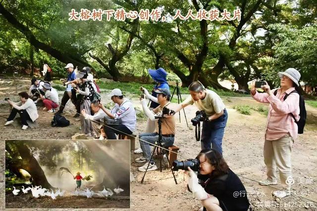 彩色旅图｜光影里的霞浦：滩涂、古树与渔排的诗意时光