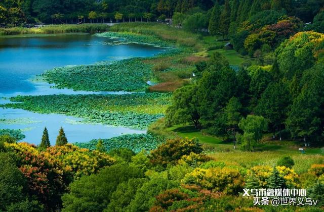 今日义乌丨义乌之秋，太仙啦