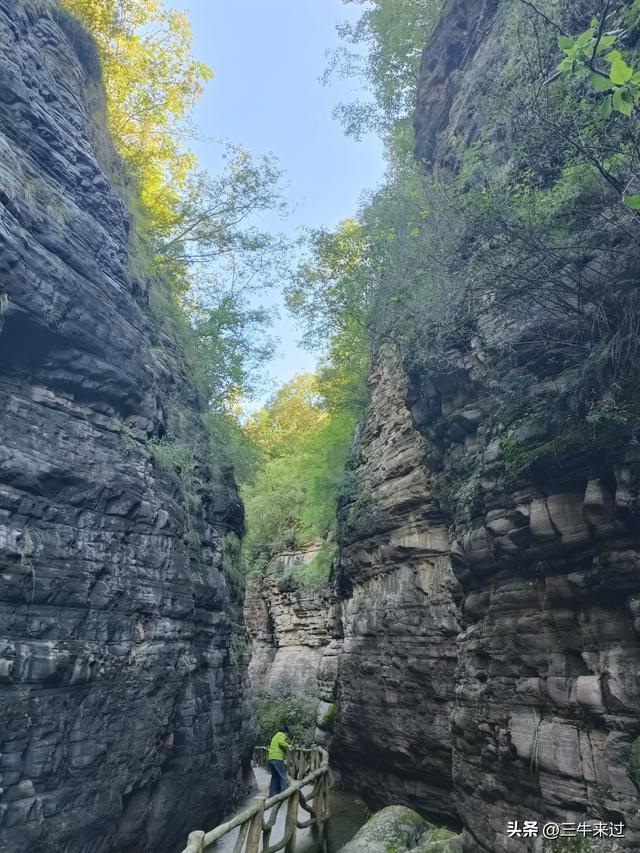 无为在歧路，壶关林州大名府8