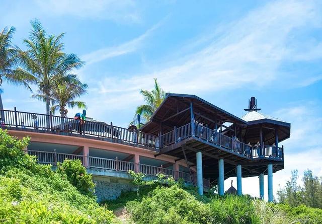 上天入海，动静皆宜的宝藏海岛打卡指南