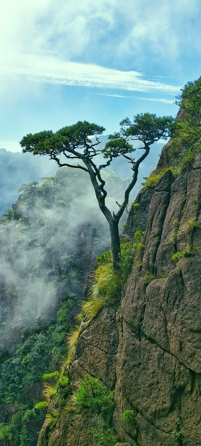 黄山记奇：从松谷庵到玉屏楼