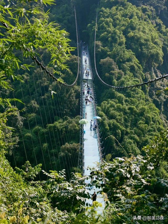 抓住夏天的尾巴，在川西竹海遇见第一缕秋意