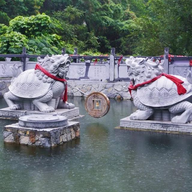 初秋神农山太绝了！龙脊穿云、白松摇曳，看不完的浪漫与惊喜！