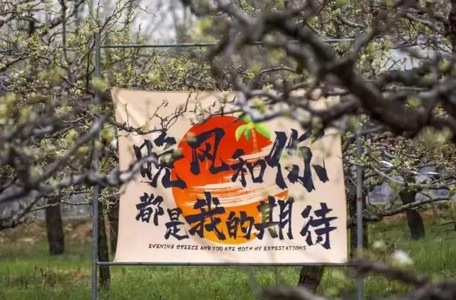 奔“县”山东！这里是墨子家乡 善城滕州