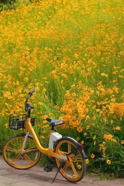 [宁夏 石嘴山市]