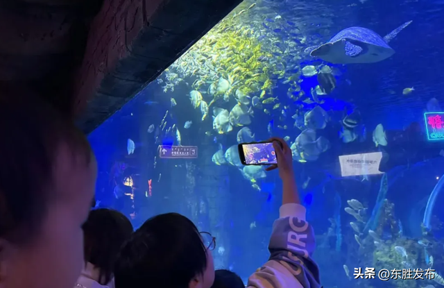 速来！半价特惠！