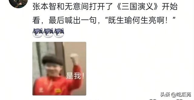 笑不活了！如果你不开心的话 就去张本智和评论区吧，快把我笑趴了
