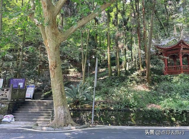 成都难得的清凉徒步胜地，在都江堰隔壁，不要门票，超级凉爽。