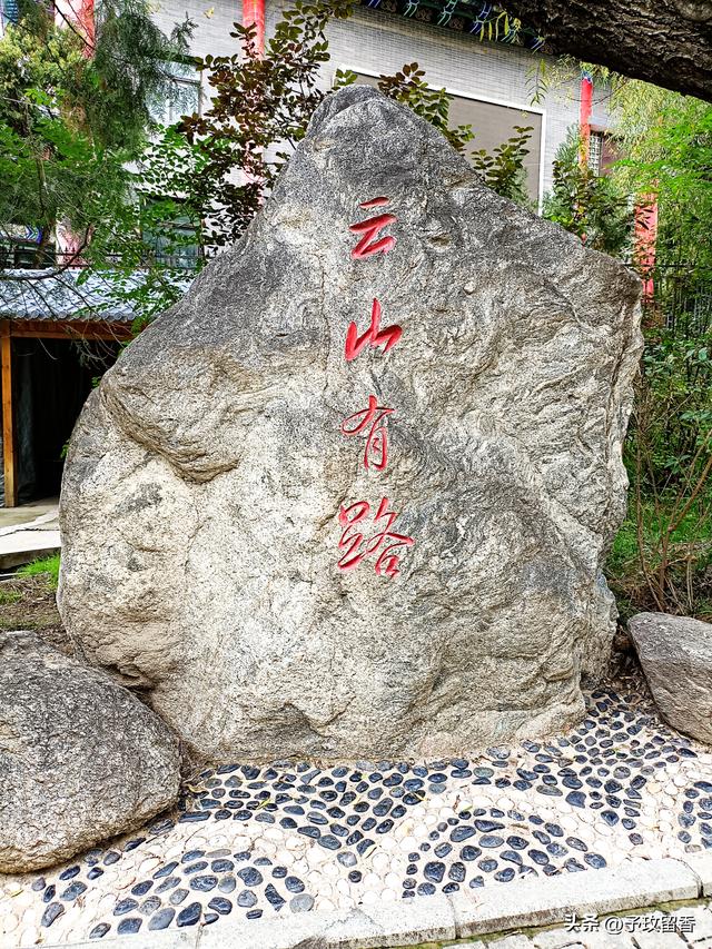 兰州市五泉山公园掠影 风景 古建 古树 雕塑 广场