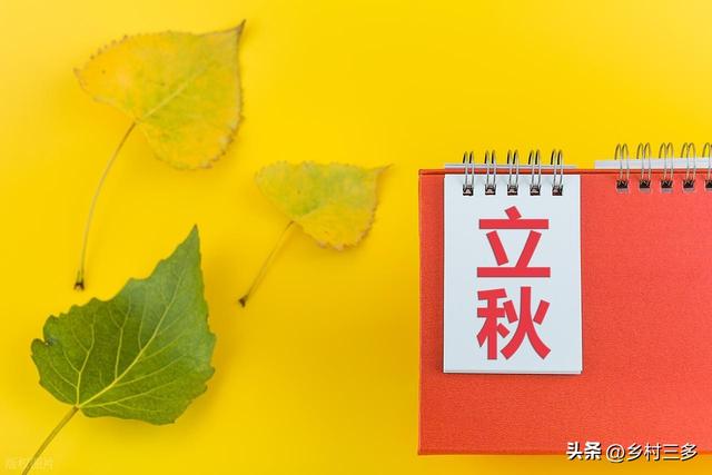 “立秋逢单胜似冬，立秋逢双秋老虎”，2025年立秋逢单还是逢双？