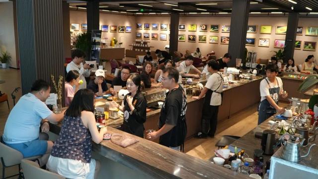 思茅区：咖啡庄园迎来暑期旅游热 解锁“咖旅融合”新玩法