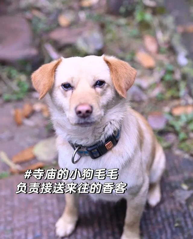 当天来回！动车40min直达冷门吸氧地，竹海徒步戏水钓鱼！物价感人、地道风味好吃到爆！