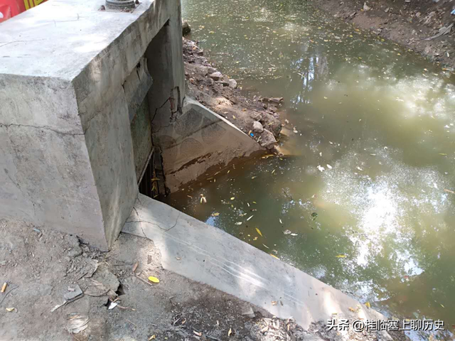 宁夏人文：银川红花渠传奇3，一寺一渠一红花-高台寺迷踪