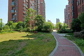 没砸到人也可能构成犯罪！高空抛物如何追责图片