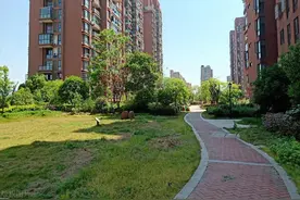 没砸到人也可能构成犯罪！高空抛物如何追责图片