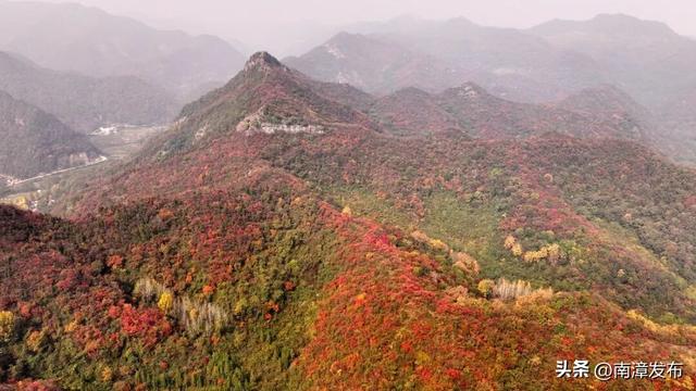 初冬“调色盘”已上线！古林坪红叶进入最佳观赏期，快来打卡！