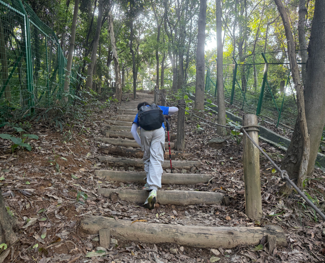 深圳大窝岭→龙岗儿童公园亲子暴走全攻略："野趣+乐园"黄金路线