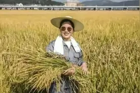 回归农村梦想：湖南农民迁回乡村的七种方式和挑战图片