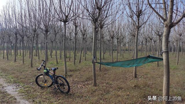 漯河历史文化遗迹之郝家台遗址