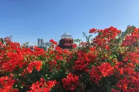 治疗面肌痉挛的经历图片