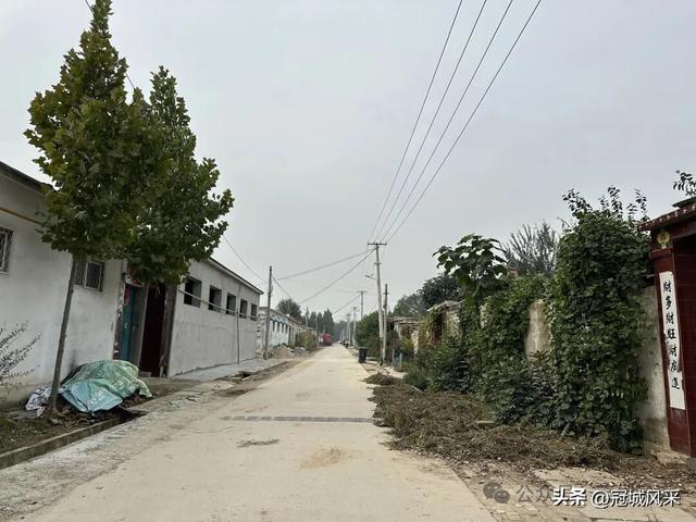 冠县乡韵·桑阿镇野场村