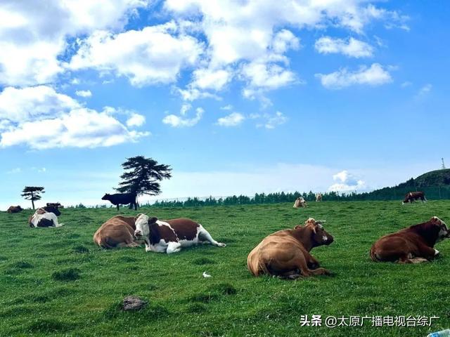 山西的秋是立秋以后的秋