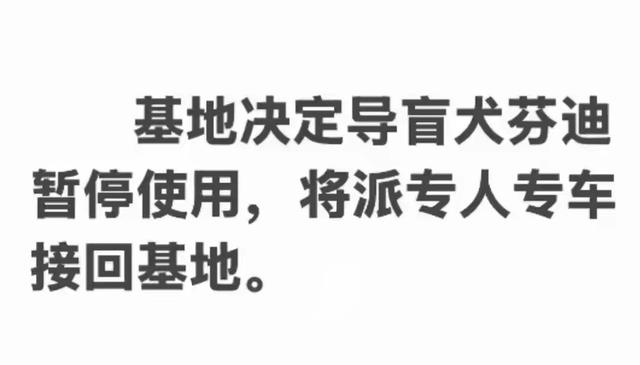 带导盲犬爬泰山的夫妻被网友批评，导盲犬芬迪看着非常累