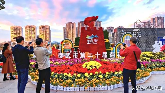 菊香满邵武！第二十届菊花艺术展惊艳绽放，邀你共赏秋韵