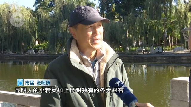 观鸥赏杏，冬天就要这么惬意！这些活动都排到明年了……