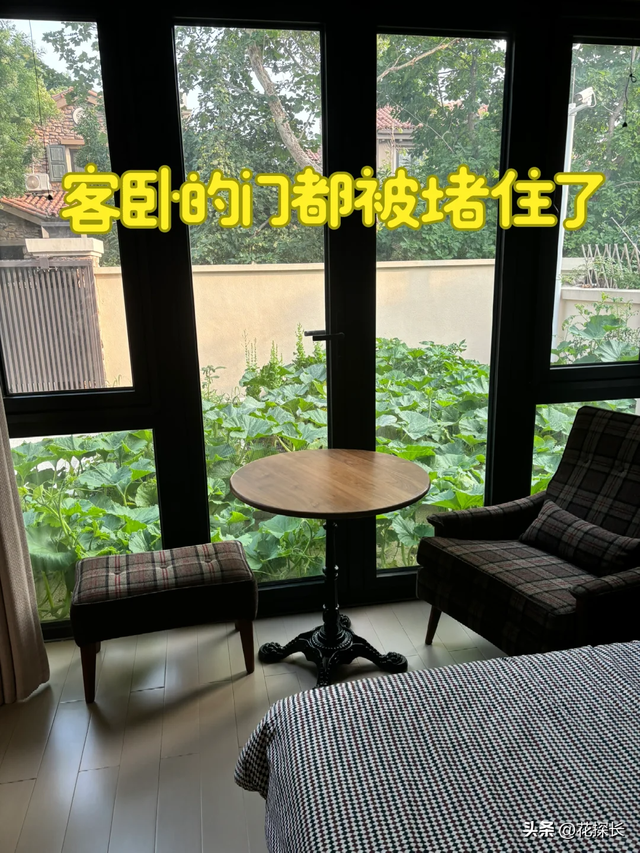 女子离家半个月，一院子南瓜“成了精”，网友：天呐，羡慕死了！