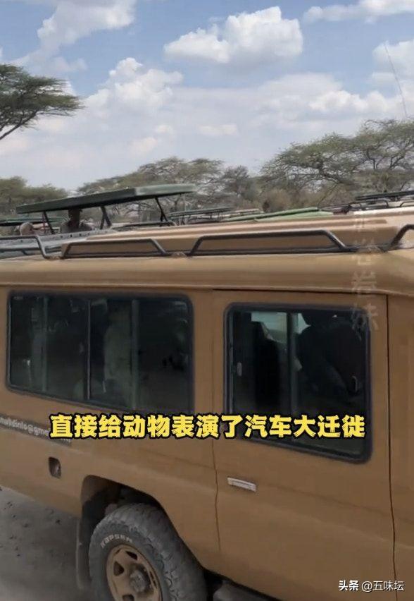 长假出境游火爆，多个海外景点中国游客数量显著增长
