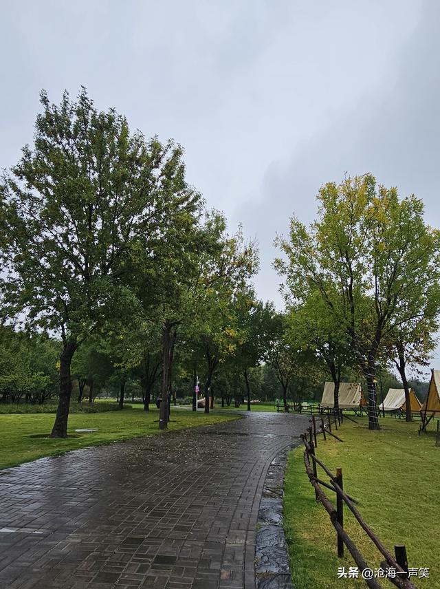 田园风光，雨中激景，风萧萧兮易水寒，深秋一去兮不复还!