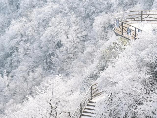 体荟四季丨出发！与小体一同解锁长三角3小时“滑雪圈”