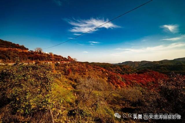 陕西渭南：姹紫嫣红 游人如织 服务周到 韩城香山红叶欣赏正当时