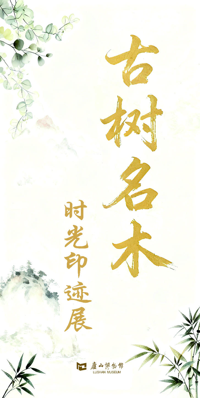 【听完音乐继续嗨，大波活动等你来】庐山2026元月文旅活动盛宴