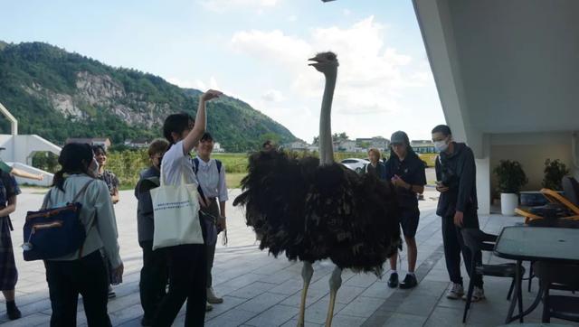 日本学生的中国“旅行日记”——2025湖南中日青少年友好交流夏令营开启！
