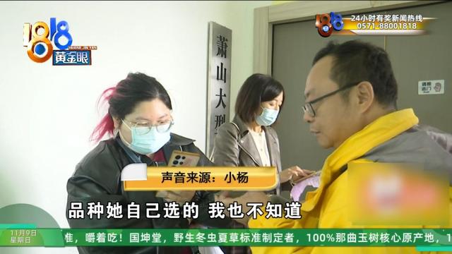 怎么又是这？她还拿出视频，里面“一动不动”，停了几只苍蝇....