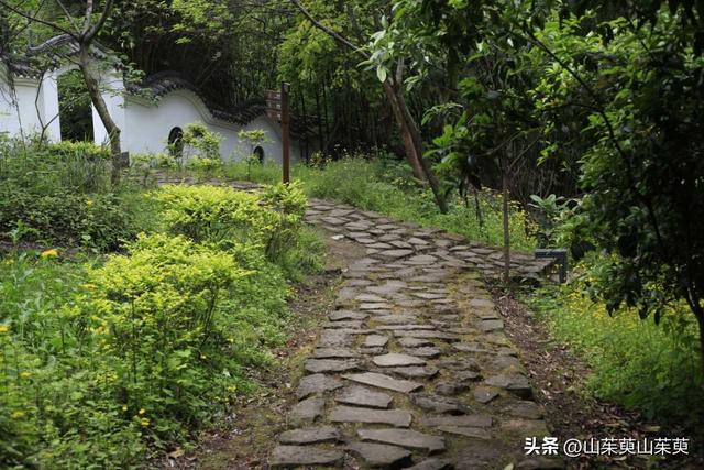 2023年春重庆探亲记（三）