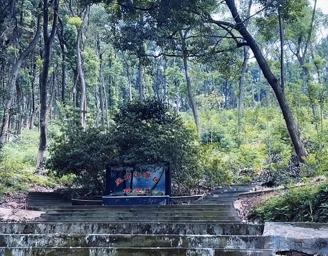 常德津市市一日游十大必去旅游景点