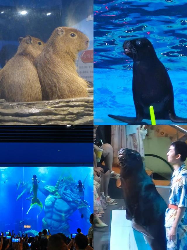 一辈子很短！一定要和心爱的人，手牵手走过这6个浪漫的旅行地！