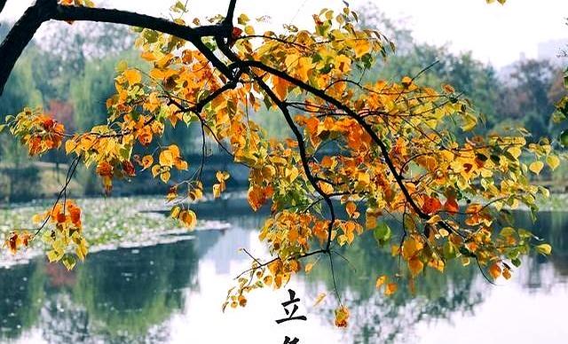 这不是迷信！“最怕立冬是雨天”，今日立冬，下雨啥预兆？