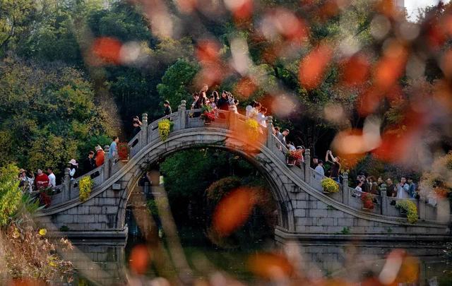 此时的太仓，美到心尖上！