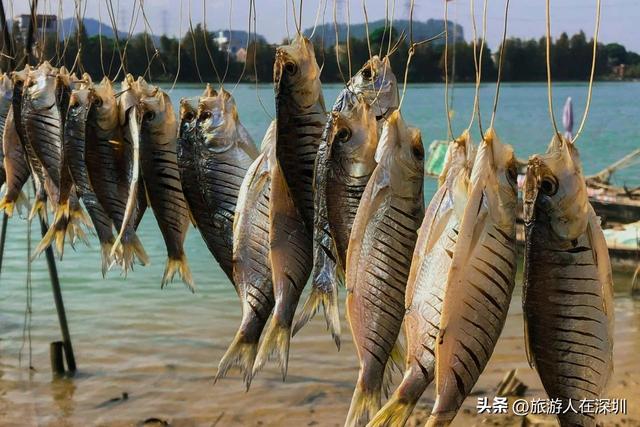 江门旅游去哪里好玩？2天1晚经典行程推荐，沉醉于碉楼山水美食
