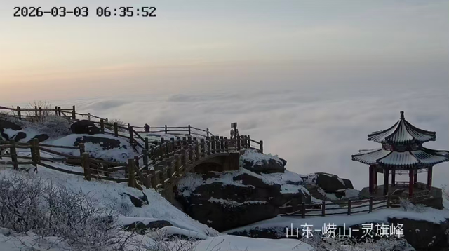 春天又想起来逞能了！今早，大批青岛人憋着想请假：领导，这里突然美得不像话，我能不能去打个卡，晚了怕它化了……