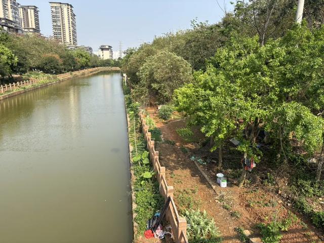 五象湖「最强景观」火了，公告成了废纸