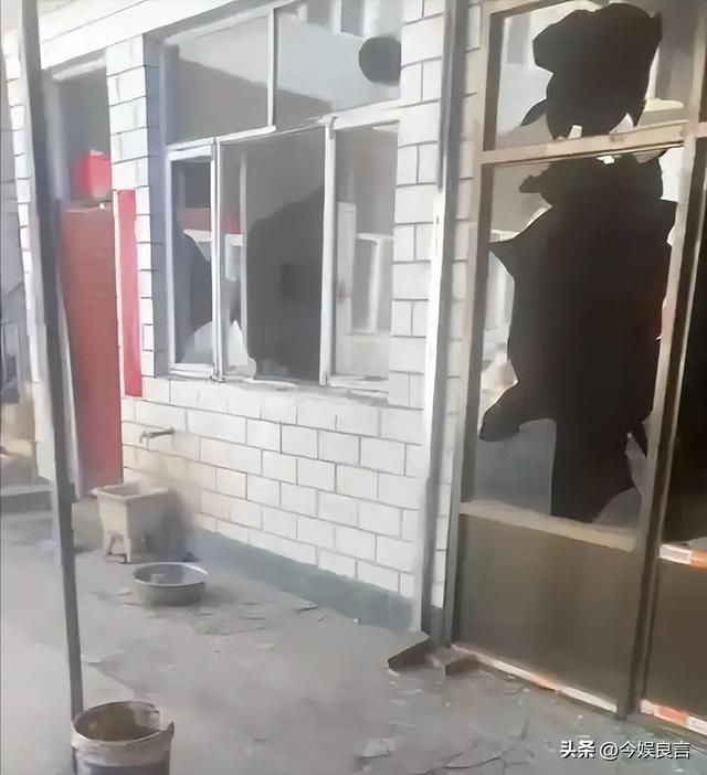 狗主人被反杀案开庭，9人闯门打砸，妻子后悔冲动，更多细节披露